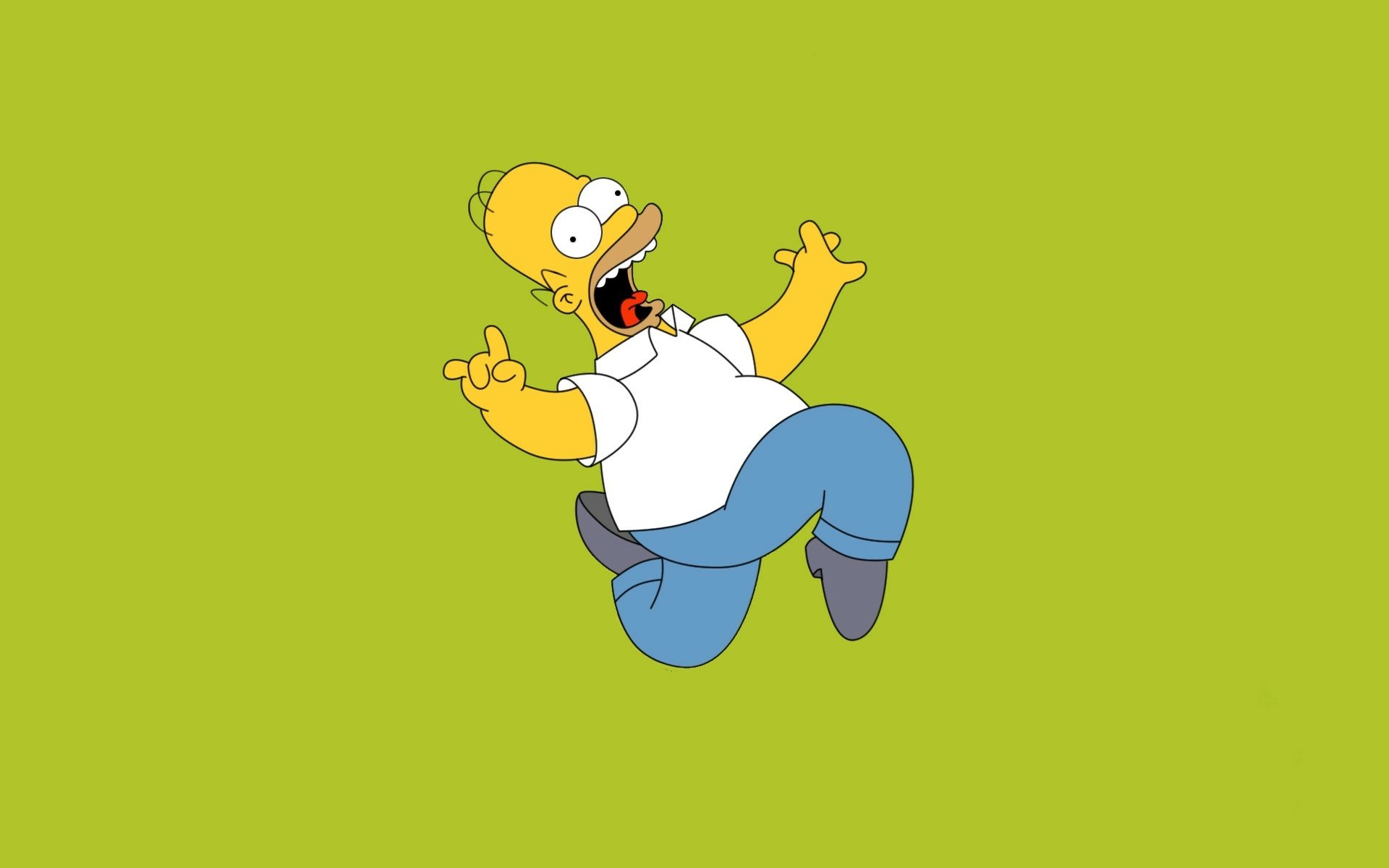 Download Homer Simpson TV Show The Simpsons HD Wallpaper