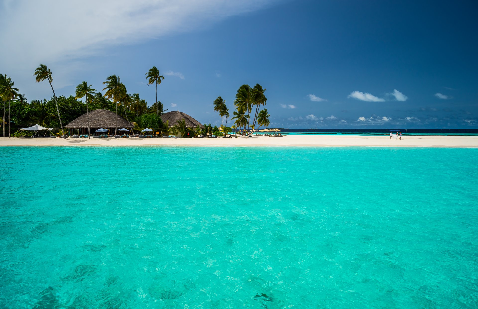 Download Holiday Palm Tree Beach Tropics Maldives Constance Halaveli ...