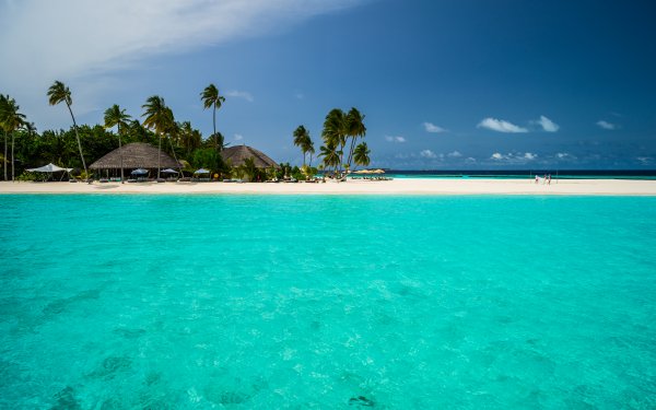 Photography Tropical Constance Halaveli Resort Maldives Tropics Beach Palm Tree Holiday HD Wallpaper | Background Image
