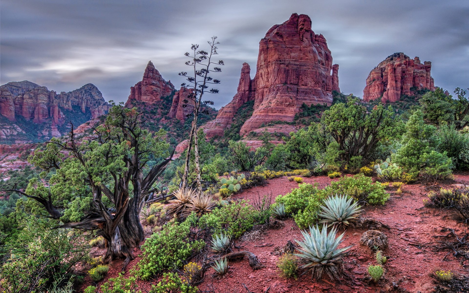 HD PC desktop wallpaper of Sedona, Arizona canyon — red rock formations, desert shrubs and agave under a dramatic cloudy sky
