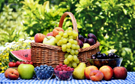 A vibrant assortment of fresh fruits including apples, peaches, apricots, pears, strawberries, watermelon, and grapes arranged in a basket against a lush green background.