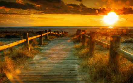 man made boardwalk HD Desktop Wallpaper | Background Image