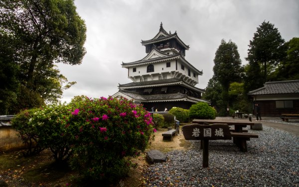 Man Made iwakuni Castle Castles Japan Yamaguchi Prefecture Castle Architecture Hiroshima Bush Blossom Spring HD Wallpaper | Background Image