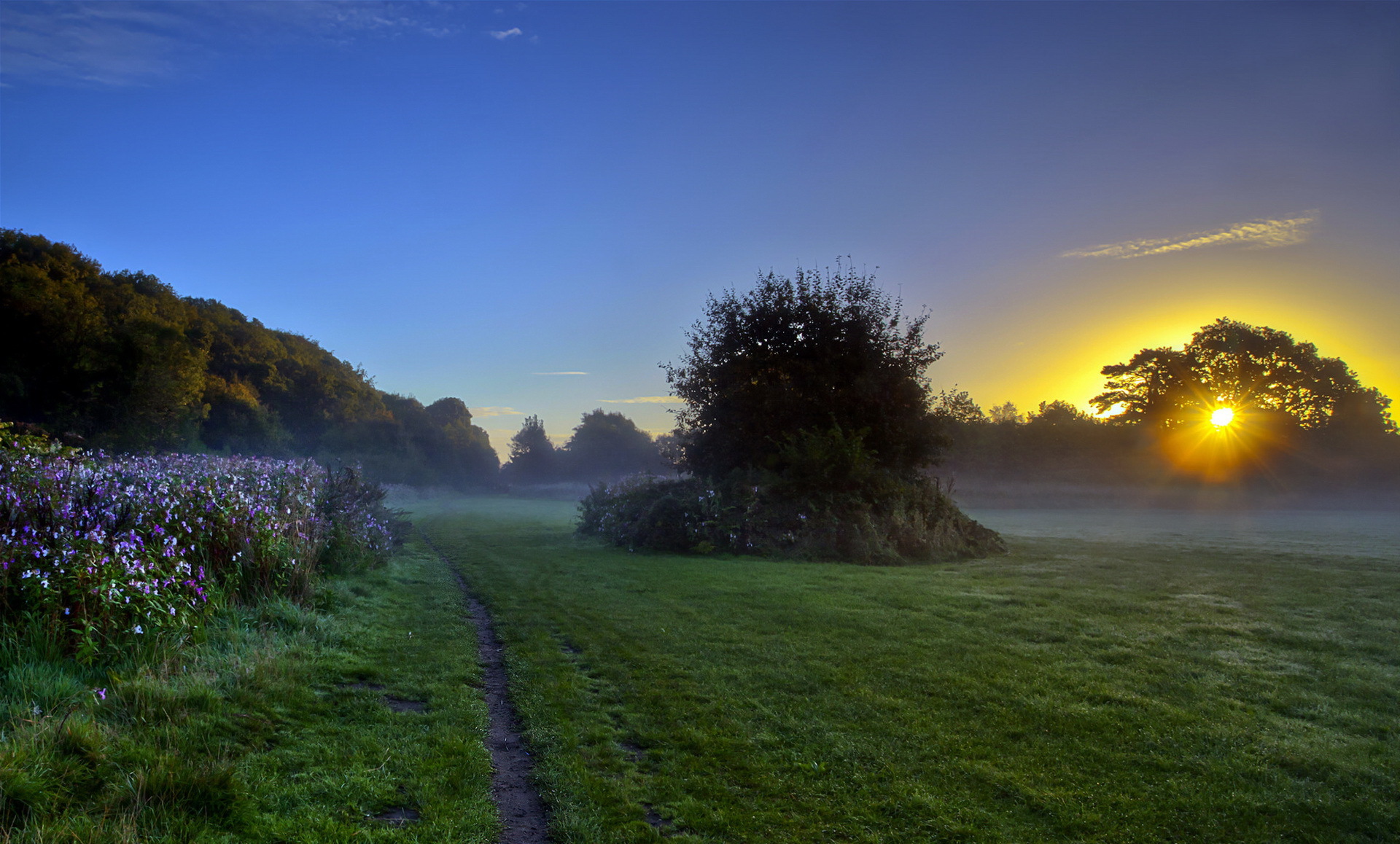 Download Nature Sunset HD Wallpaper
