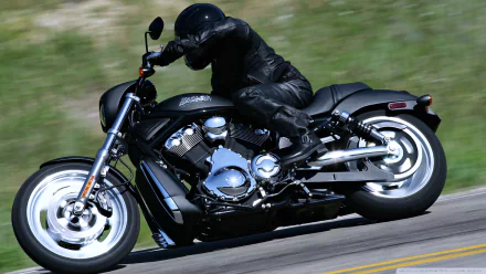 A sleek Harley-Davidson motorcycle races along a winding road, showcasing its powerful design and dynamic presence against a backdrop of green hills. HD desktop wallpaper.