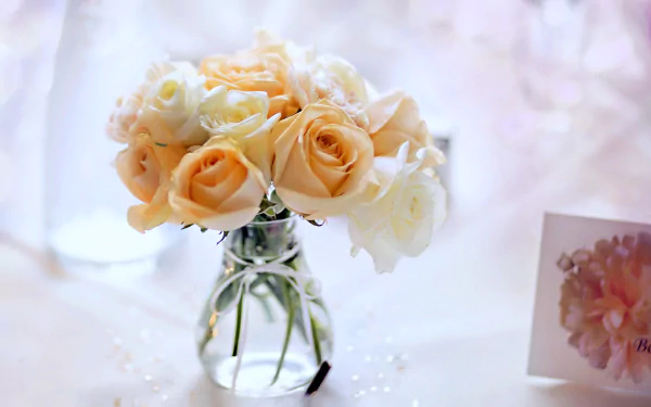vase rose photography still life HD Desktop Wallpaper | Background Image