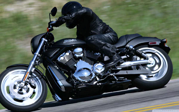 A sleek Harley-Davidson motorcycle races along a winding road, showcasing its powerful design and dynamic presence against a backdrop of green hills. HD desktop wallpaper.