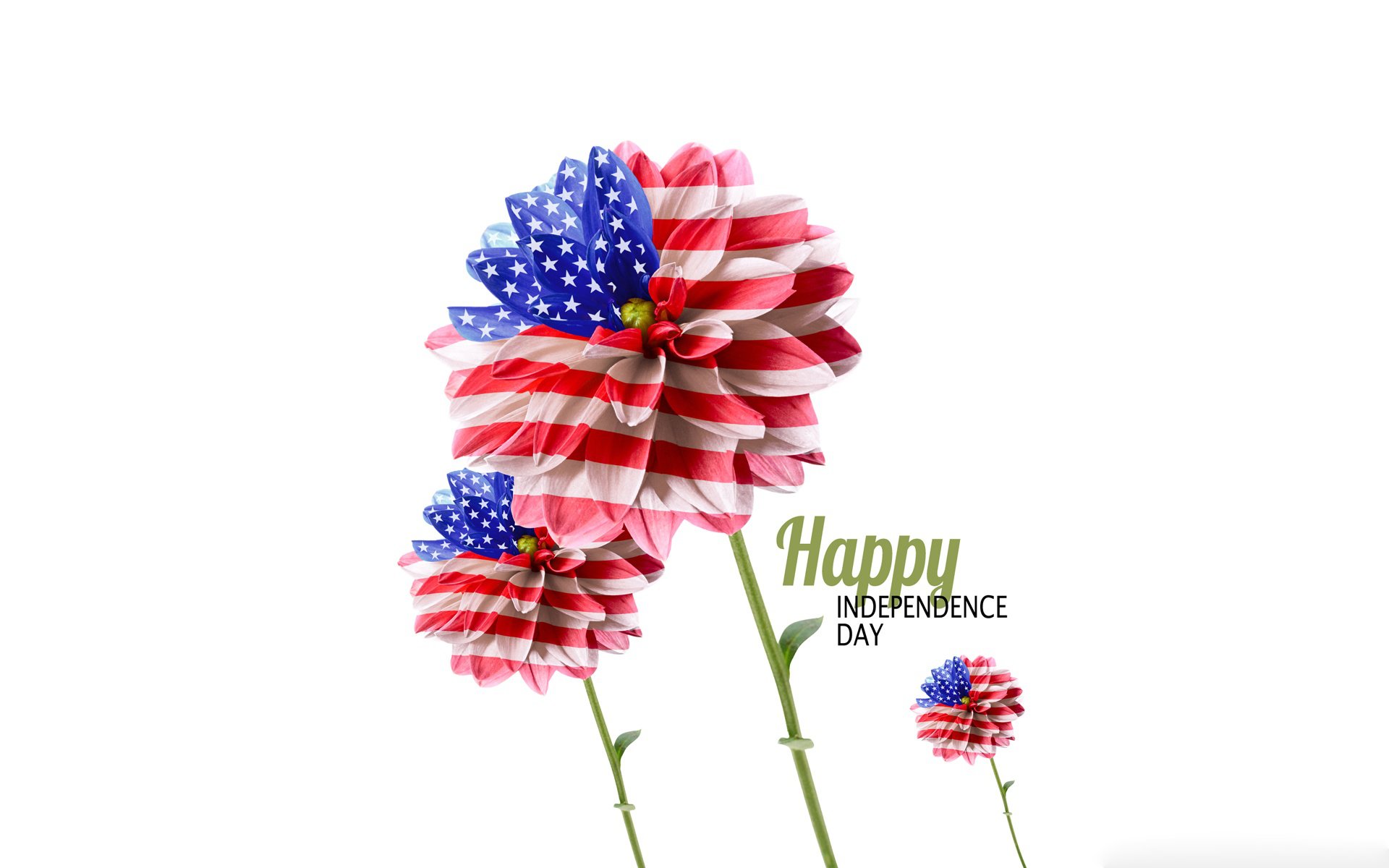 Bold floral designs in red, white, and blue celebrate the 4th of July, accompanied by Happy Independence Day text, making this an eye-catching HD wallpaper.
