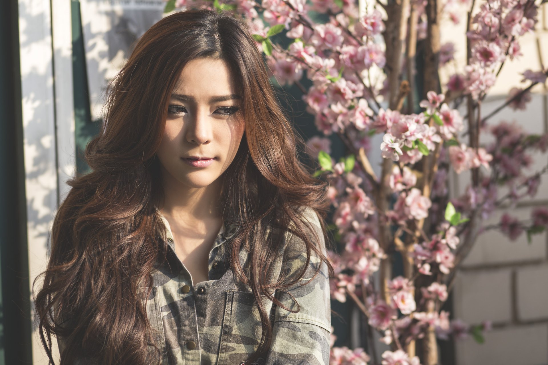 Download Khaki Blossom Hair Asian Model Woman Kookai HD Wallpaper