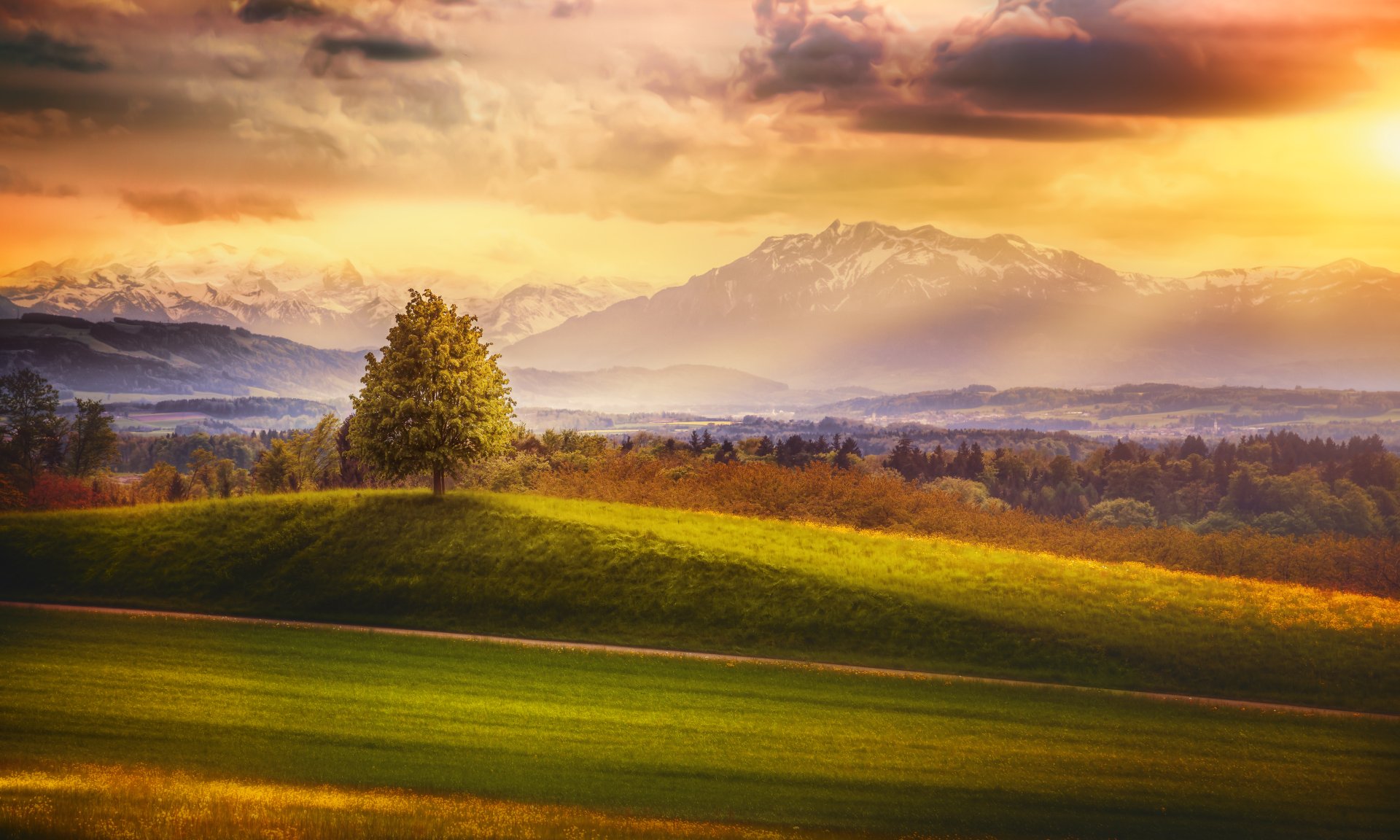 A stunning landscape of the Swiss Alps at sunset, featuring a solitary tree on a lush green hillside, with majestic mountains in the background and a vibrant, colorful sky.