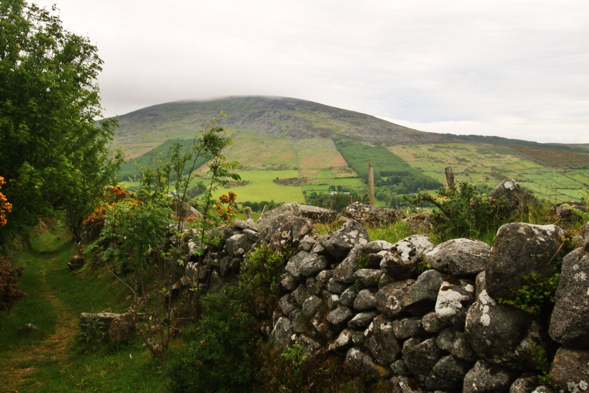 Download Man Made Wall HD Wallpaper