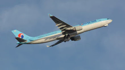 A flying passenger Airbus A330 with a blue and white design against a clear sky, showcasing its aerodynamic features in this high-definition desktop wallpaper.