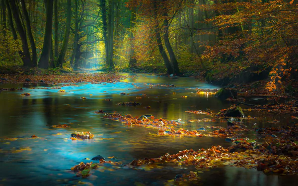 HD desktop wallpaper of a serene forest featuring sunbeams filtering through trees above a river strewn with autumn leaves.