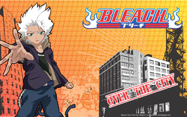 Tōshirō Hitsugaya Anime Bleach HD Desktop Wallpaper | Background Image