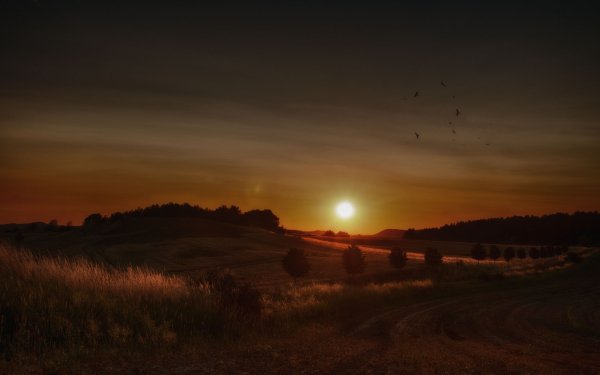 Earth Sunset Nature Landscape HD Wallpaper | Background Image