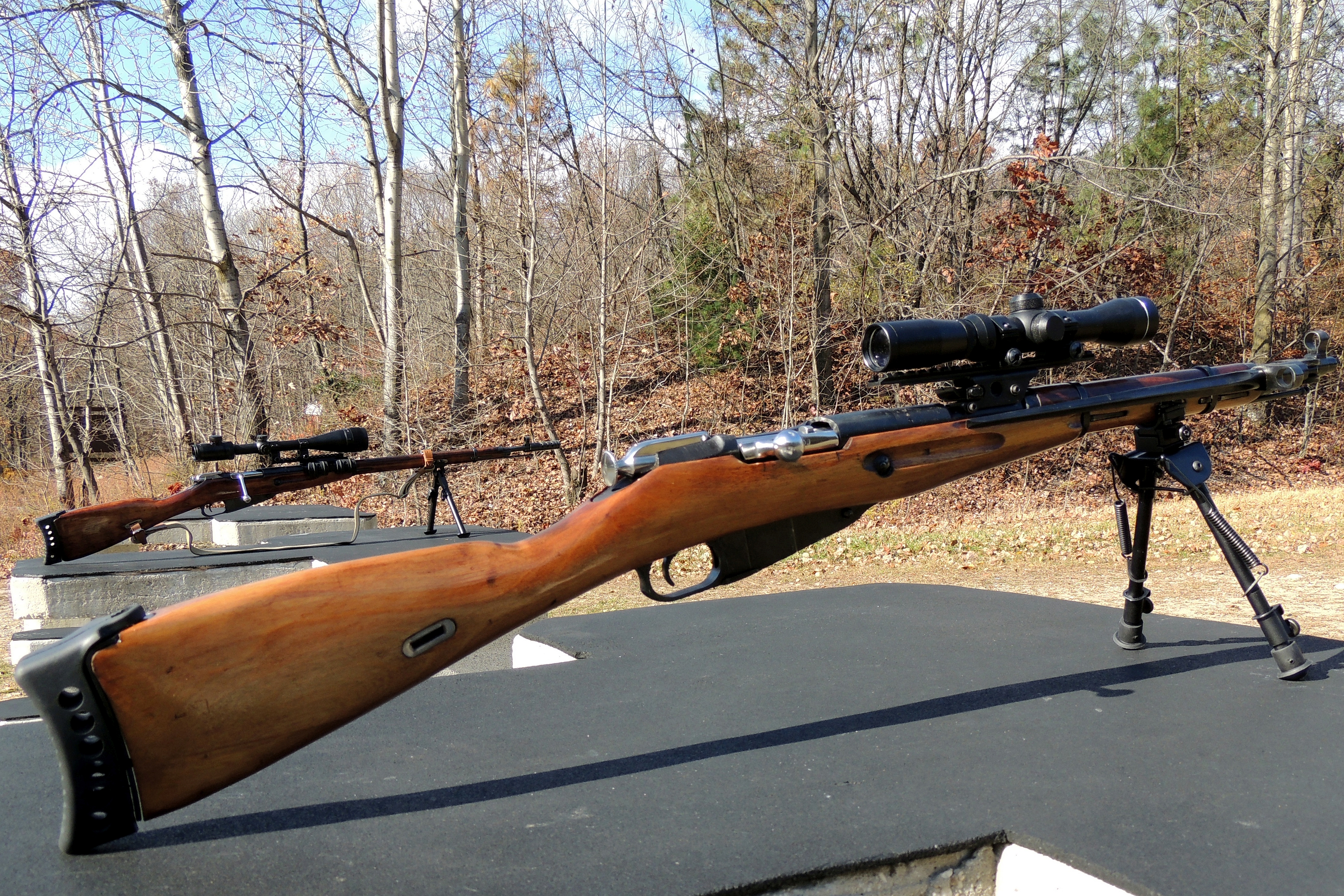 Mosin nagant