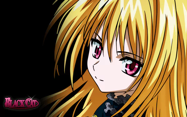 Anime Black Cat (Anime) HD Desktop Wallpaper | Background Image