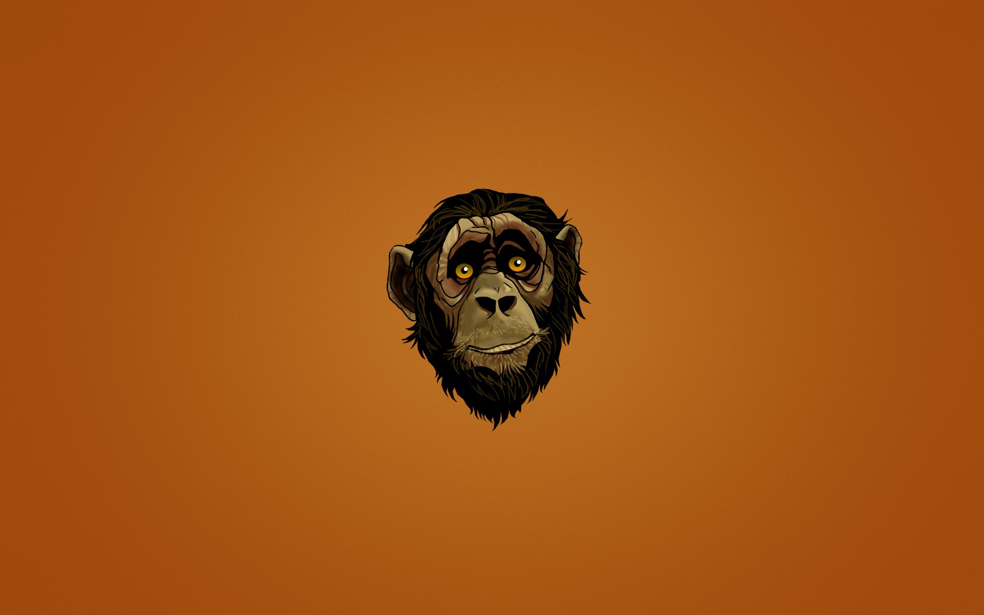 190+ Monkey HD Wallpapers and Backgrounds