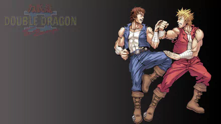 video game Double Dragon II: The Revenge HD Desktop Wallpaper | Background Image