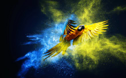 Vibrant HD desktop wallpaper of a blue-and-yellow macaw in mid-flight, surrounded by dynamic clouds of blue and yellow powder.