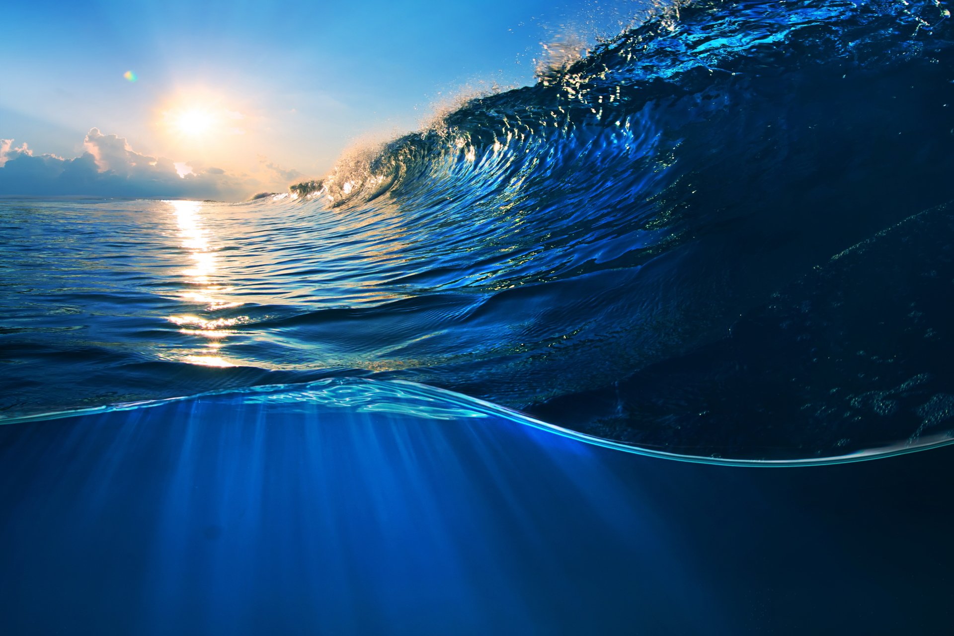 Hình nền đại dương sẽ khiến bạn không thể rời mắt khỏi màn hình. Bạn sẽ bị mê hoặc bởi sức mạnh và vẻ đẹp của những con sóng dữ dội cùng những sinh vật độc đáo sống dưới đáy biển.