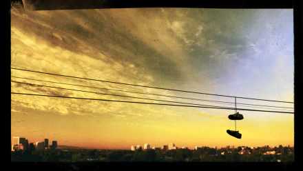 TV Show American Crime HD Desktop Wallpaper | Background Image