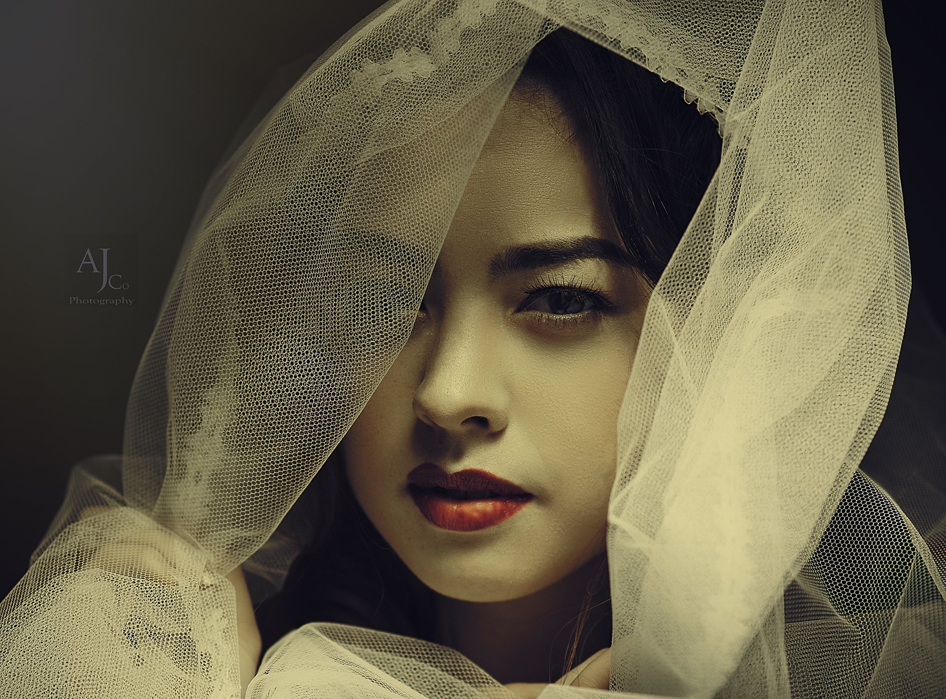 Portrait of a woman with bold lipstick, partially covered by a delicate veil, captured in stunning 4K Ultra HD detail for a PC desktop wallpaper and background.