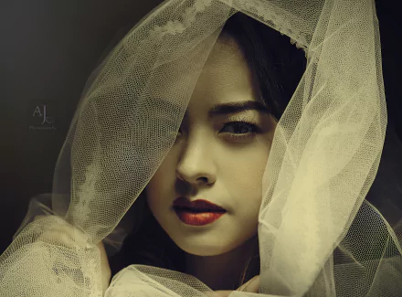 Portrait of a woman with bold lipstick, partially covered by a delicate veil, captured in stunning 4K Ultra HD detail for a PC desktop wallpaper and background.