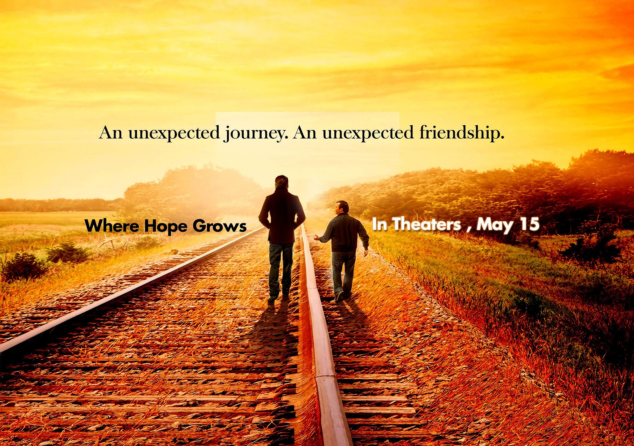 Movie Where Hope Grows HD Wallpaper | Background Image
