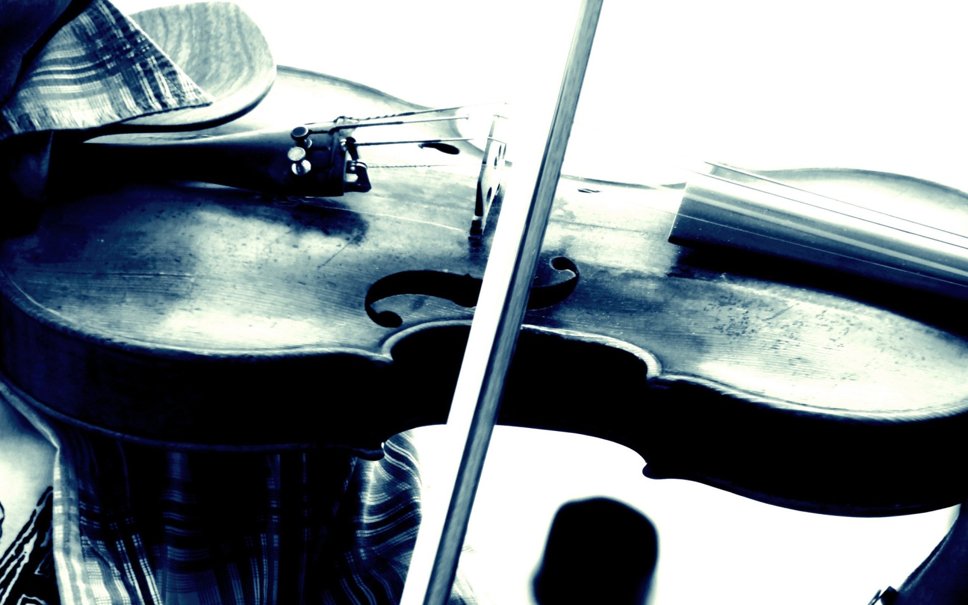 Violin Full HD Wallpaper and Background Image | 2560x1600 | ID:611515