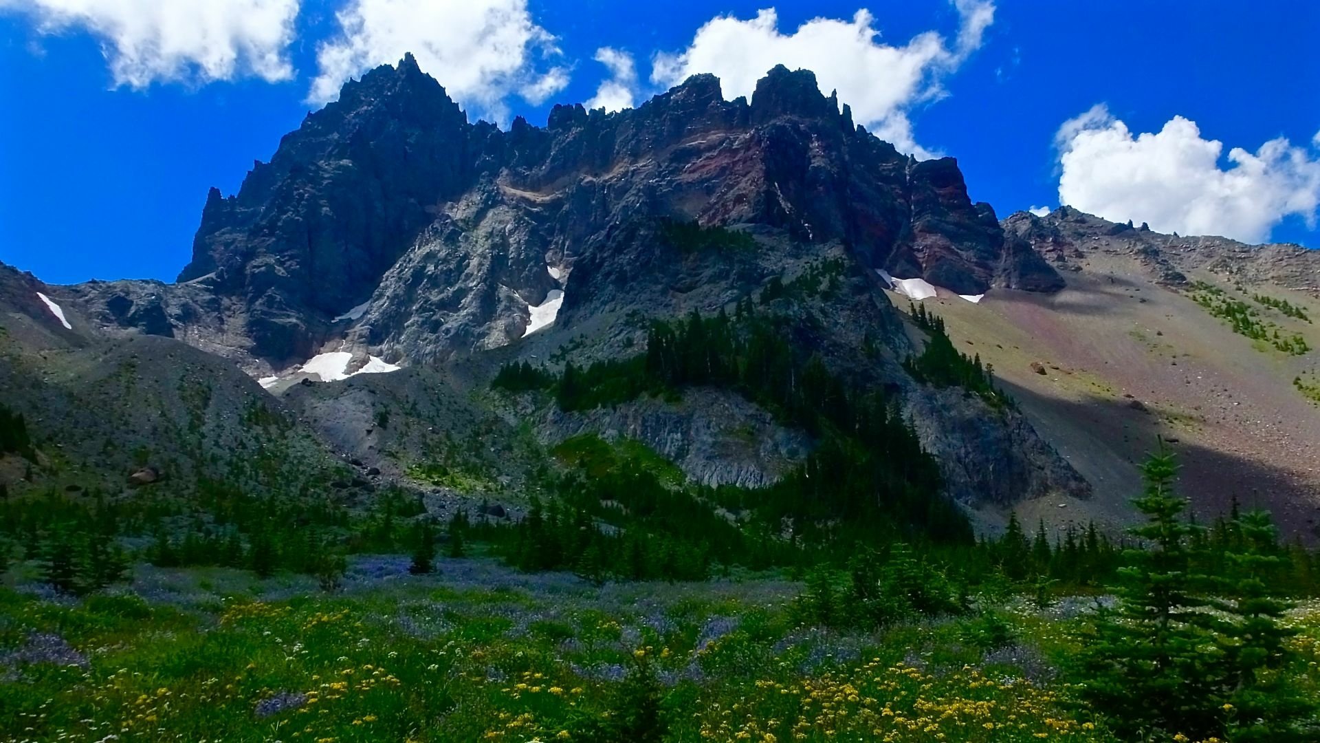 Download Nature Mount Three Fingered Jack HD Wallpaper
