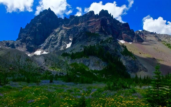 nature Mount Three Fingered Jack HD Desktop Wallpaper | Background Image