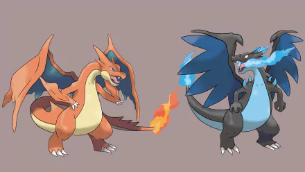 HD desktop wallpaper featuring Charizard and its Mega Evolutions, Mega Charizard Y (left, orange) and Mega Charizard X (right, black and blue) from Pokémon.