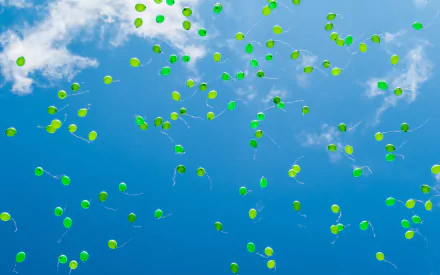 photography balloon HD Desktop Wallpaper | Background Image