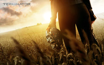 A dramatic scene from Terminator Genisys, featuring a figure holding a Terminator's skull against a backdrop of golden fields and a setting sun, perfect for a HD desktop wallpaper.