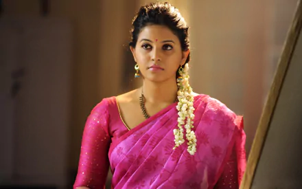 Celebrity Anjali HD Desktop Wallpaper | Background Image