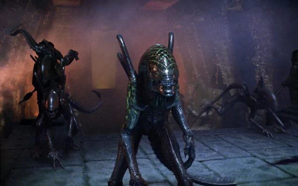 movie Alien vs. Predator HD Desktop Wallpaper | Background Image