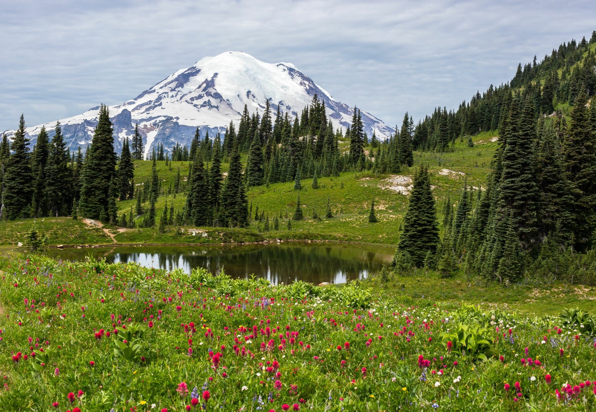4K Ultra HD desktop wallpaper showcasing a vibrant nature landscape with wildflowers, evergreen trees, a reflective pond, and a snow-capped mountain under a cloudy sky.