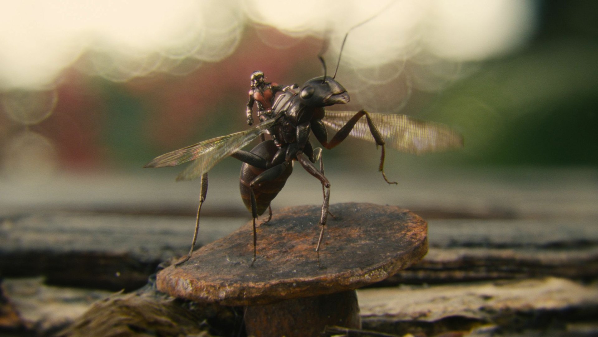 HD PC desktop wallpaper featuring a scene from the movie Ant-Man, showing a tiny figure riding on the back of a flying insect.
