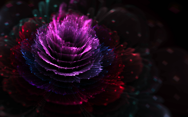 Abstracto Fractal Flor Púrpura Fondo de pantalla HD | Fondo de Escritorio