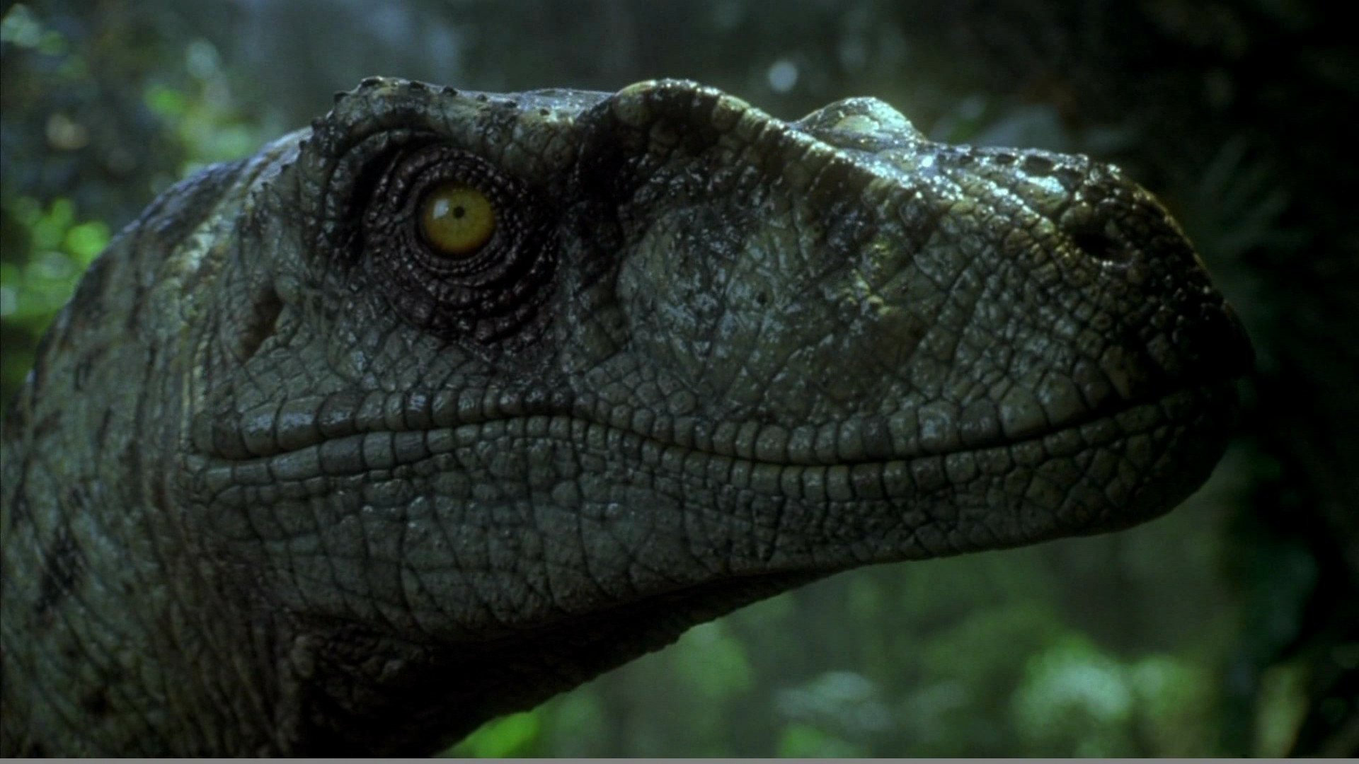 velociraptor jurassic park the lost world