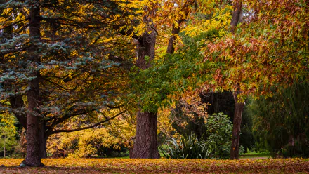 nature fall HD Desktop Wallpaper | Background Image