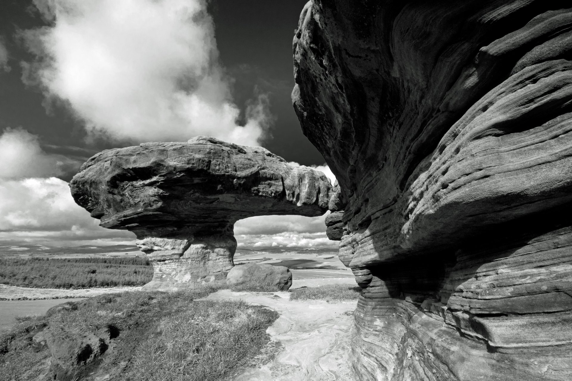 Download Nature Bunnet Stane 4k Ultra HD Wallpaper