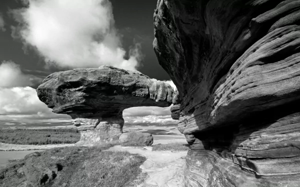 nature Bunnet Stane HD Desktop Wallpaper | Background Image