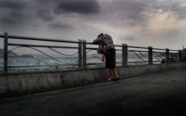 movie Three Monkeys HD Desktop Wallpaper | Background Image