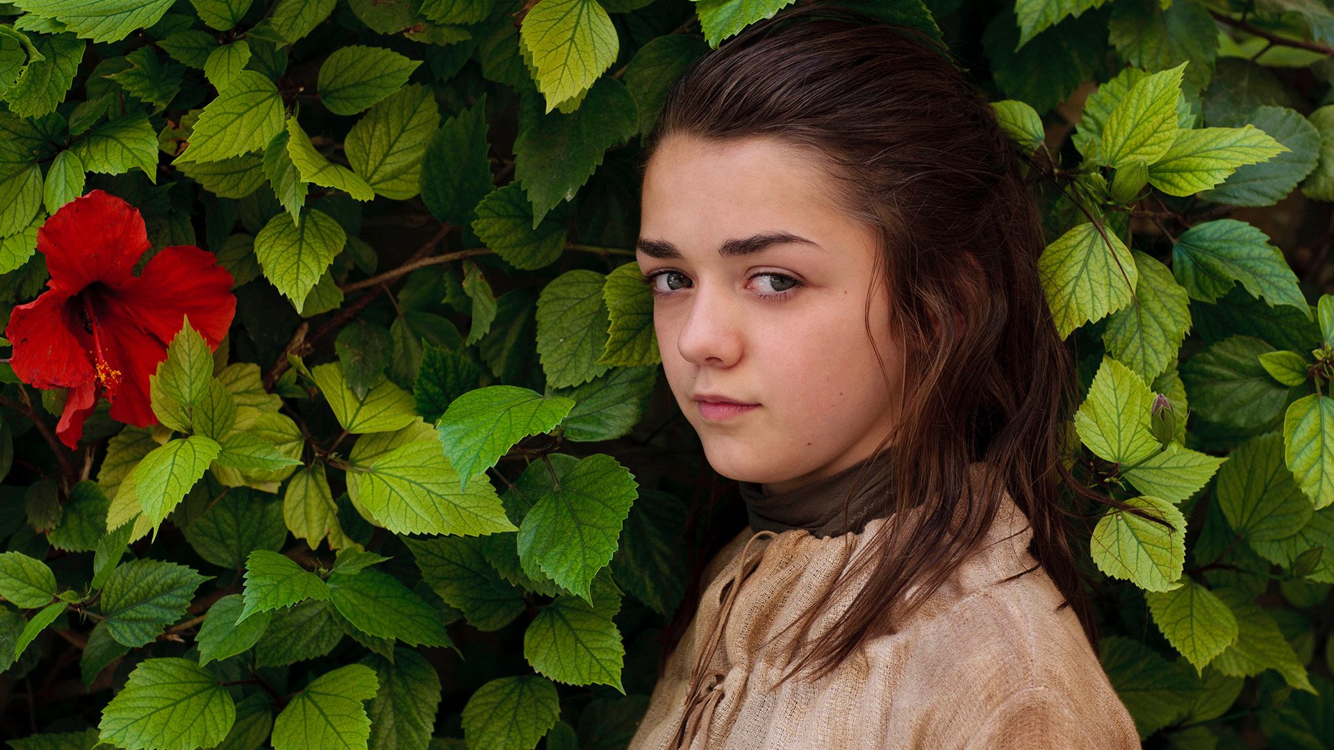Arya Stark, portrayed by Maisie Williams in Game of Thrones, gazes thoughtfully against a backdrop of vibrant green leaves and a red flower, capturing a moment of intensity and resilience.
