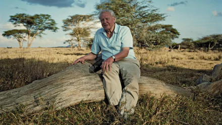 TV Show Africa (2013) HD Desktop Wallpaper | Background Image