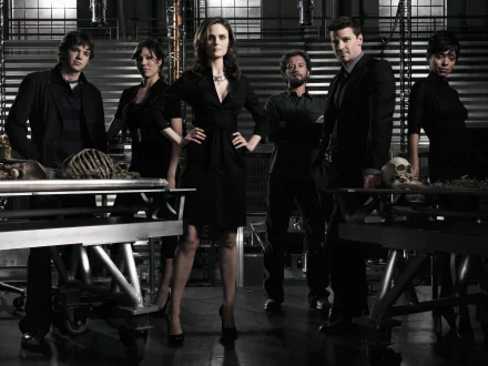 Zack Addy Eric Millegan Camille Saroyan Tamara Taylor Jack Hodgins T.J. Thyne Angela Montenegro Michaela Conlin Emily Deschanel Temperance Brennan Seeley Booth David Boreanaz TV Show Bones (TV Show) HD Desktop Wallpaper | Background Image