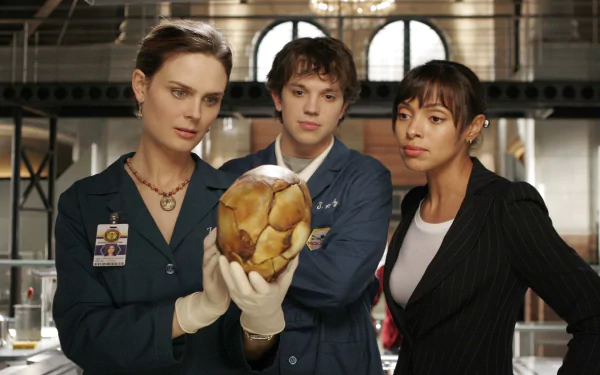 Zack Addy Eric Millegan Camille Saroyan Tamara Taylor Emily Deschanel Temperance Brennan TV Show bones HD Desktop Wallpaper | Background Image