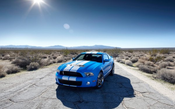 Vehicles Ford Mustang Ford HD Wallpaper | Background Image